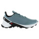 Salomon Running Shoes Alphacross